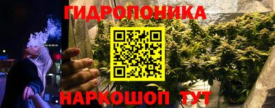 шишки Норильск