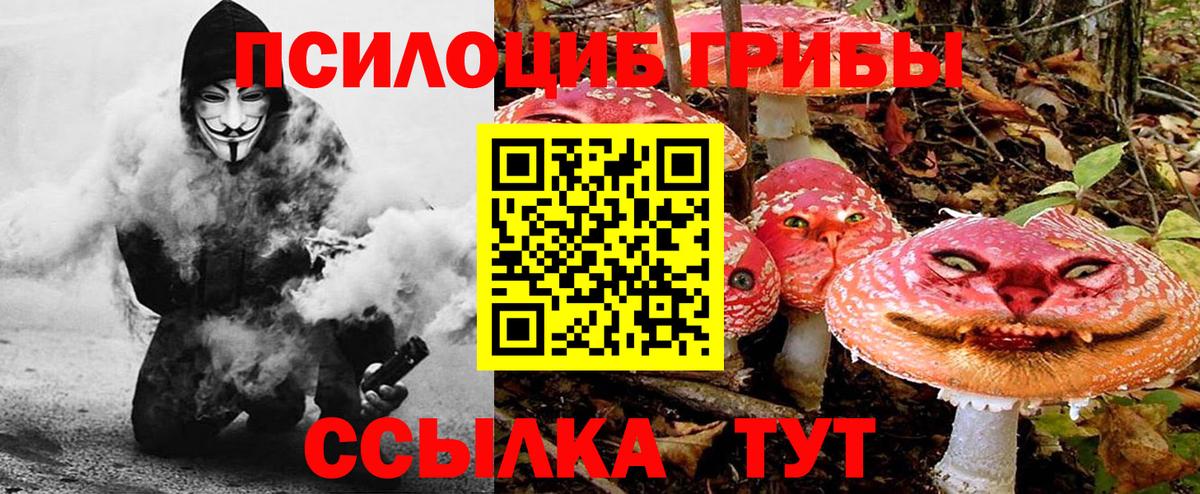 Псилоцибиновые грибы мухоморы Лениногорск