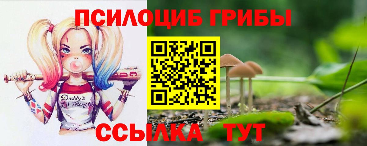 Лениногорск  Меф МЯУ МЯУ  МДМА  Вейп ТГК  Гашиш  A-PVP СК кристаллы  Бошки Шишки  Меф МЯУ МЯУ   Гашиш  Вход с VPN  Кокаин 